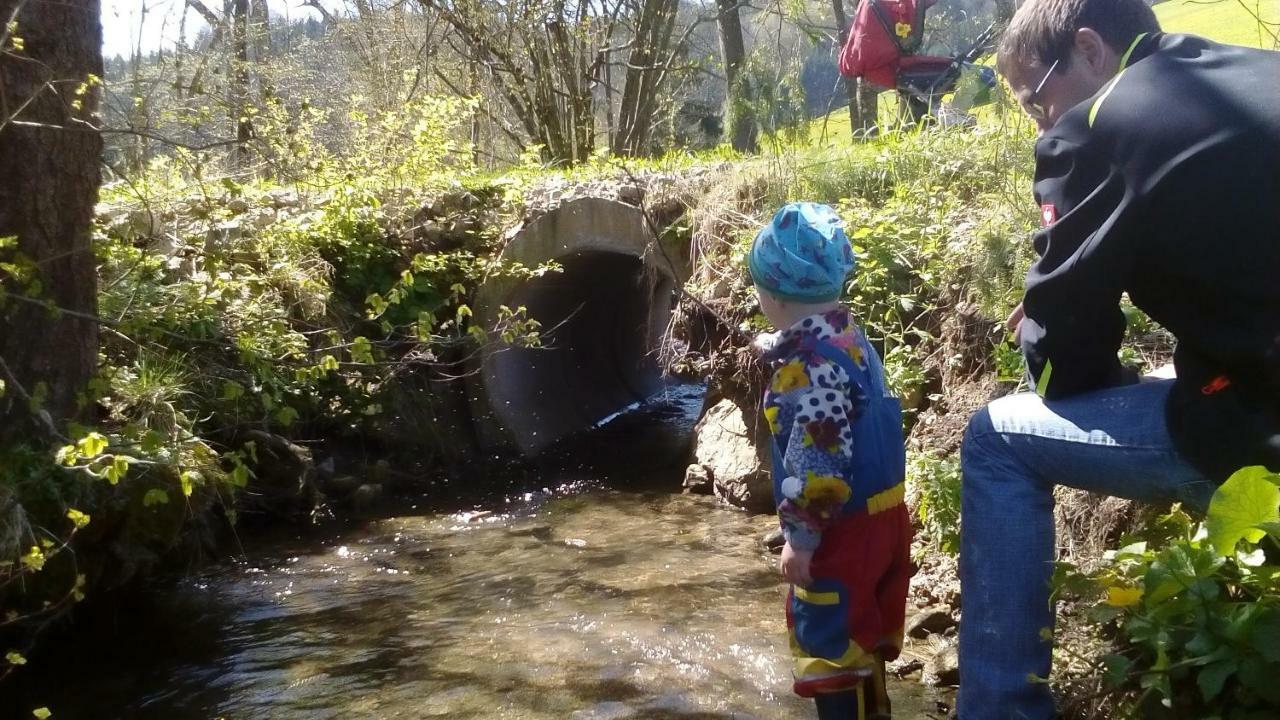 Einkehrhof Poggau Lägenhet Reinsberg Exteriör bild